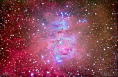 The Orion Nebula, M42 and M43, with surrounding associated nebula and star clusters, such as the Running Man Nebula above (NGC 1975) and blue star cluster above it, NGC 1981.
