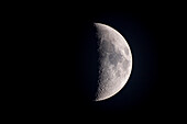 Die flüchtigen Licht- und Schattengebilde namens Lunar X (unten in der Mitte am Terminator) und Lunar V (oben in der Mitte) auf dem sechs Tage alten Mond am 1. März 2020. Können Sie sie sehen?