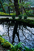 Valley of Lakes and Little Birds Fountain at Park and National Palace of Pena (Palacio de la Pena), Sintra, Portugal