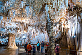 Pozalagua caves; Karrantza valley; Bizkaia; Basque Country; Spain; Europe.