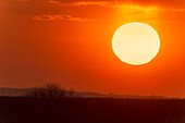 Eine Nahaufnahme der aufgehenden Sonne am 5. April 2019 von zu Hause aus, aufgenommen durch den 66-mm-Refraktor und den 1,4-fach Extender bei 650 mm Brennweite.