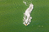 Aerial view of a Jet Ski in Frankston, Australia