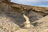 Erodierter Sandstein in den Schichten des Mancos Shale in der Factory Butte Recreation Area in der Caineville Desert bei Hanksville, Utah.