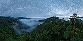 Luftaufnahme von The Cloudforest, Mashpi, Reserva Mashpi Amagusa, Pichincha, Ecuador, Südamerika