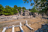 Blick auf die antike Agora und blühende Bäume, Kos Stadt, Kos, Dodekanes, Griechische Inseln, Griechenland, Europa