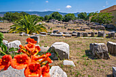 View of Roman Thermal Baths, Kos Town, Kos, Dodecanese, Greek Islands, Greece, Europe