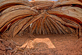 Das Innere eines alten Hogans, der bei Navajo-Zeremonien verwendet wird, im Navajo National Monument, Navajo Indian Reservation nordwestlich der Stadt Kayenta, Arizona, Vereinigte Staaten von Amerika, Nordamerika