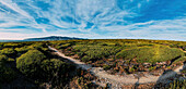 Aerial drone panoramic view of Sintra National Park, with Cabo da Roca in the far left background, next to Guincho Beach, Cascais, Portugal, Europe