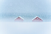 Red cabins in the mist during a heavy snowfall, Troms county, Norway, Scandinavia, Europe