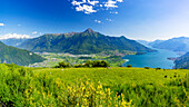 Blick auf den Monte Legnone und Alto Lario von blühenden Wiesen oberhalb des Comer Sees, Bugiallo, Provinz Como, Lombardei, Italienische Seen, Italien, Europa