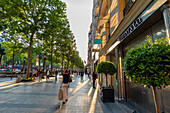 Die Avenue des Champs-Elysees, Paris, Frankreich, Europa