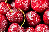 Close-up of fresh cherries with water drops