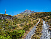 New Zealand, Taranaki, Egmont National Park, Hiking trail