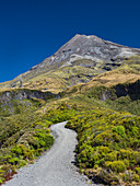 New Zealand, Taranaki, Egmont National Park, Hiking trail