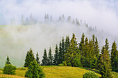 Ukraine, Ivano Frankivsk region, Verkhovyna district, Dzembronya village, Foggy rolling landscape in Carpathian Mountains