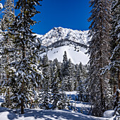 USA, Idaho, Sun Valley, Blick auf Berge und Wald im Winter