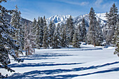 USA, Idaho, Sun Valley, Schneebedeckte Bergspitzen und Bäume