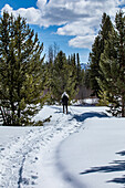 USA, Idaho, Sun Valley, Senior woman hiking in snowy forest