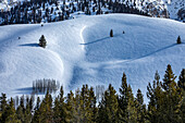USA, Idaho, Sun Valley, Schneebedeckter Berghang mit Bäumen