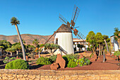 Open-air museum Centro de Artesania Molino de Antigua, Antigua, Fuerteventura, Canary Islands, Spain, Atlantic, Europe