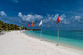 White sand beach with many flags, Bangaram island, Lakshadweep archipelago, Union territory of India, Indian Ocean, Asia