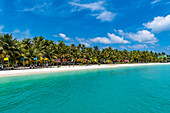 White sand beach with many flags, Bangaram island, Lakshadweep archipelago, Union territory of India, Indian Ocean, Asia
