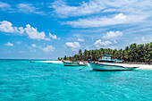 Kleine Boote vor einem palmengesäumten weißen Sandstrand, Insel Agatti, Lakshadweep Archipel, Unionsterritorium von Indien, Indischer Ozean, Asien