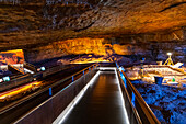 Altamira Cave, UNESCO World Heritage Site, Cantabria, Spain, Europe