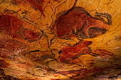 Höhle von Altamira, UNESCO-Welterbe, Kantabrien, Spanien, Europa