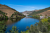 Blick über die Weinregion des Douro-Flusses, UNESCO-Welterbe, Portugal, Europa