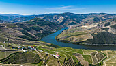 Aerial of the Wine Region of the Douro River, UNESCO World Heritage Site, Portugal, Europe