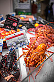 Lobsters at a market in Brittany