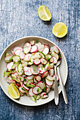 Spring salad with radishes and cucumber