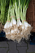 Spring onions in the market
