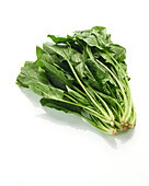Spinat (Spinacia oleracea)