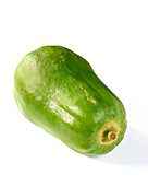 Green papaya, Carica papaya