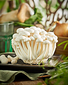 Bunapi-shimeji mushrooms, Hypsizygus tessulatus, Buna shimeji mushrooms, Hypsizygus tessulatus