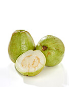 Guava, Psidium guajava