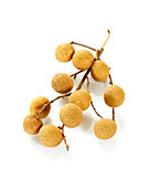 Longan (Dimocarpus longan)