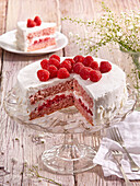 Raspberry and coconut cake