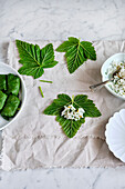 Dolma from raspberry and currant leaves