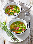 Spring vegetable stew