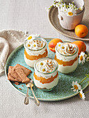 Apricot yogurt layer cup with meringue topping