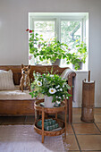 Heller Raum mit Holzbank, Hund, Blumenstrauß und Zimmerpflanzen
