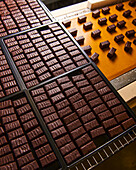 Industrially produced chocolate pralines