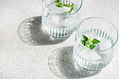 Mineral water with mint leaves and ice cubes on concrete table