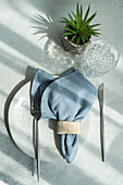 Minimalist table setting with houseplant on concrete table
