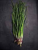 Thai spring onions