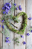 Heart-shaped wreath with hyacinth flowers (Hyacinthus) on moss, surrounded by hyacinth flowers on a wooden background