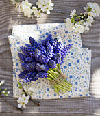 Blaue Traubenhyazinthen (Muscari) auf gemustertem Stoff und Blütenzweige